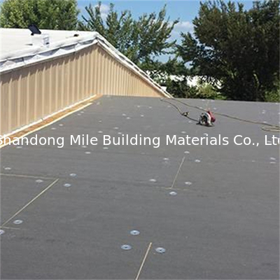 Various Thickness Reinforced With FabricTPO Roofing Waterproof Membrane