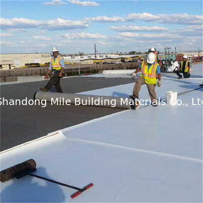 Fiberglass opal green fabric backing with fiberglass reinforced TPO waterproof membrane