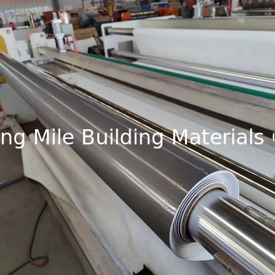Homogeneous Polyester Reinforced PVC Waterproof Membranes for Roofing