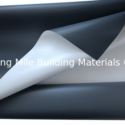 Building Waterproof Material 1.5mm Homogenous TPO Roof Waterproofing Membrane