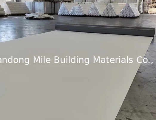 Manufacturer 60 mil thickness TPO membrane roofing rolls waterproof membrane