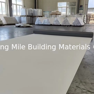 Manufacturer 60 mil thickness TPO membrane roofing rolls waterproof membrane