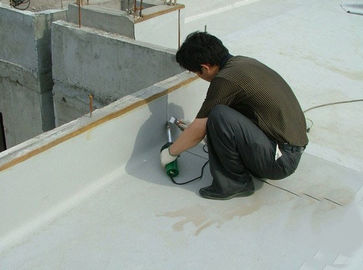 PVC Waterproof Membrane for Roof, ISO,BBA,CE ,high polymer waterproofing membrane